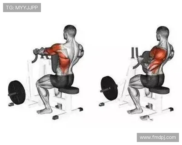 练背的健身器材动作要领:背部训练器材的正确使用技巧解析 练背的健身器材动作要领:背部训练器材的正确使用技巧解析