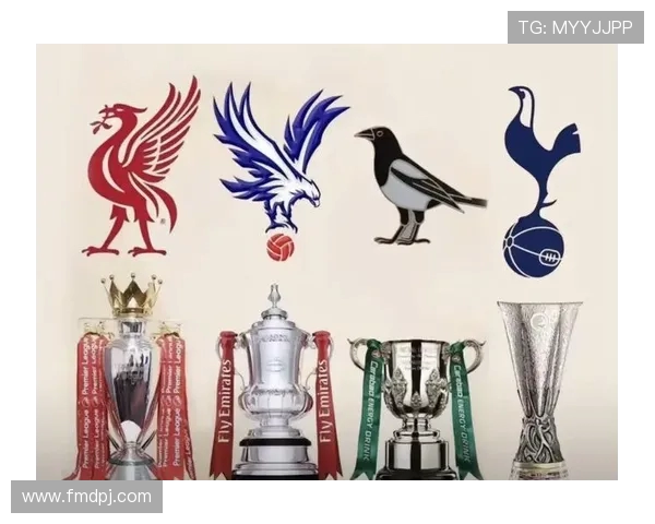 英超各球队的拥有者及其投资背景 英超各球队的拥有者及其投资背景