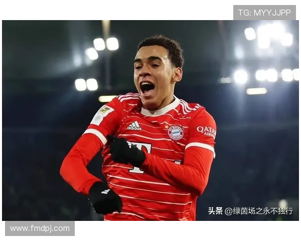 升入德甲球队的重要球员及其影响力介绍