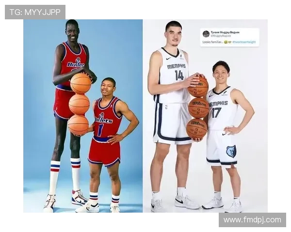 现役NBA球员身高排行榜详细介绍